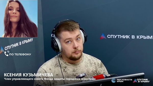 Сервис для поиска пропавших животных может стать действительно полезным