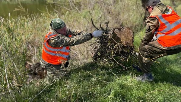 Семь озер и участков рек расчистили под Севастополем за месяц