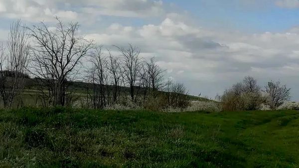 Житель Крыма осужден на 13 лет за убийство жены на почве ревности и сокрытие ее тела