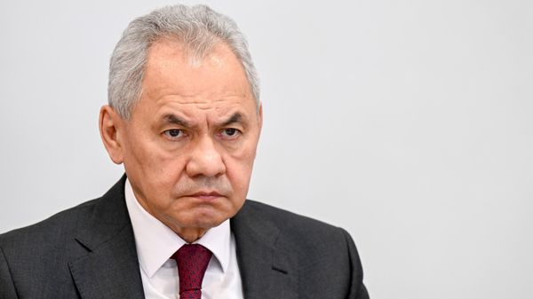 Секретарь Совета Безопасности РФ Сергей Шойгу