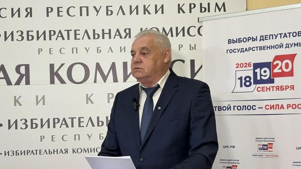 Председатель Избирательной комиссии Республики Крым Михаил Малышев