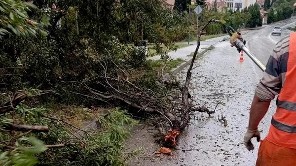 Последствия непогоды в Севастополе