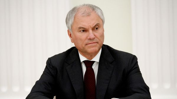 Председатель Государственной Думы РФ Вячеслав Володин на встрече президента РФ Владимира Путина с руководителями политических партий