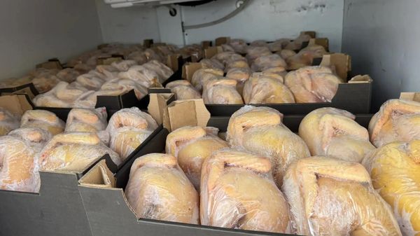 На Кубань из Кабардино-Балкарии пытались провезти 850 кг мяса птицы без маркировки