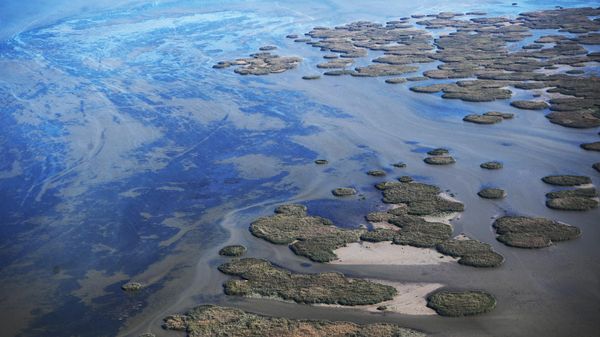 Акватория Каспийского моря