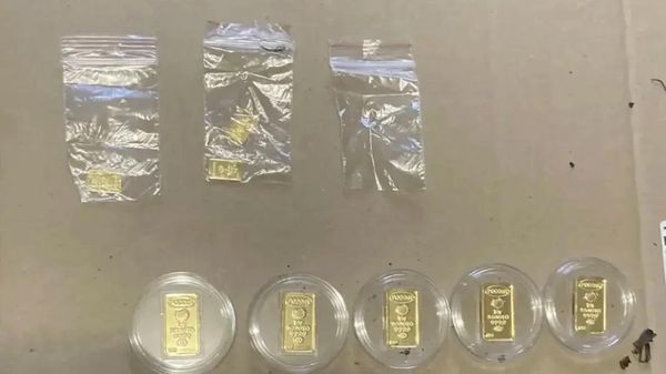  В Москве домработница вынесла из сейфа 155 слитков