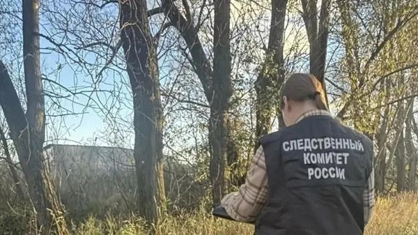 Сотрудник СК проводит следственные мероприятия на месте обнаружения расчлененного тела в Санкт-Петербурге