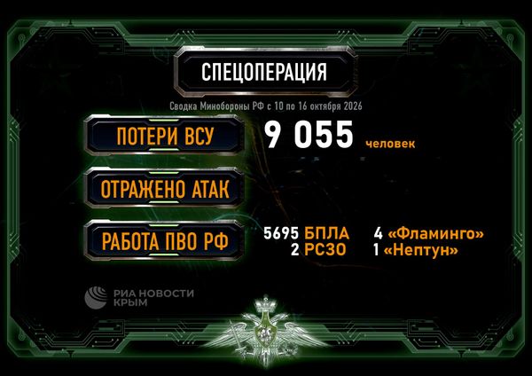 Сводка Минобороны России из зоны СВО за период с 10 по 16 октября 2026