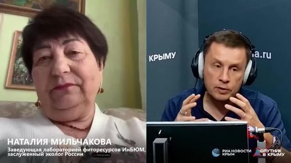 Спортивные мотоциклы и квадроциклы уничтожают крымскую природу – эксперт