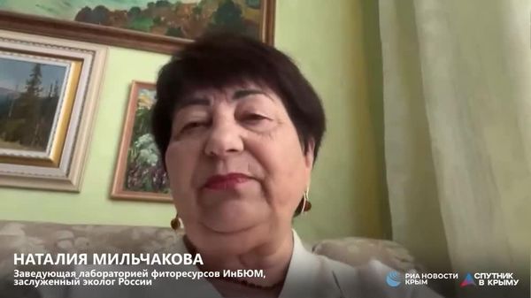 Защитить ООПТ Крыма от мотопокатушек нужно, повысив их статус – эксперт