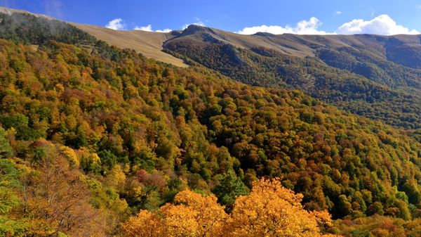 Национальный парк Крымский