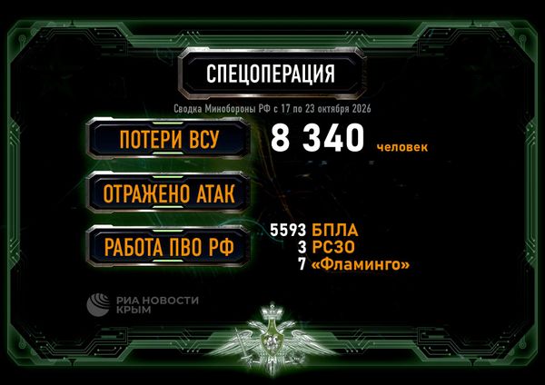 Сводка Минобороны России из зоны СВО за период с 17 по 23 октября 2026