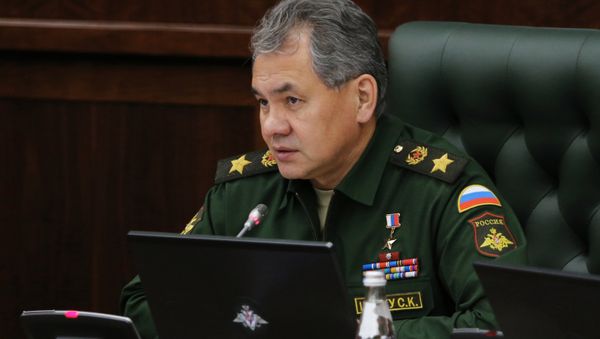 Министр обороны РФ Сергей Шойгу, архивное фото