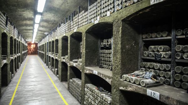 Винодельческий завод Массандра в Крыму