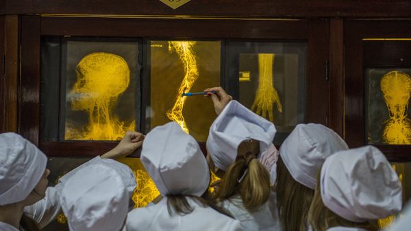 Студенты-медики. Архивное фото