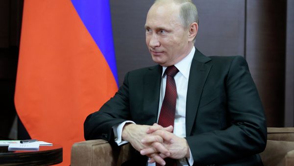 Президент России Владимир Путин во время встречи с президентом Абхазии в резиденции Бочаров Ручей