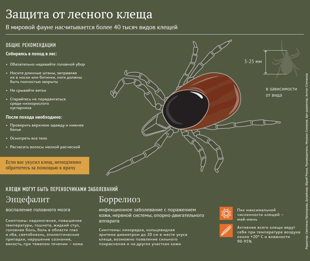 Защита от клещей