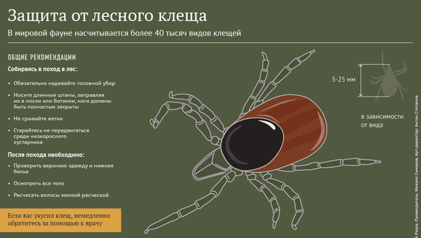 Защита от клещей