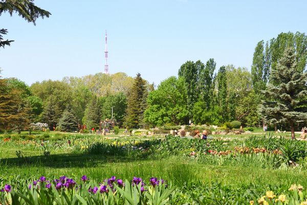 Весна в ботсаду ТНУ