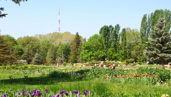 Весна в ботсаду ТНУ