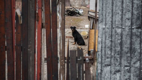 Ситуация на Донбассе Ситуация на Донбассе