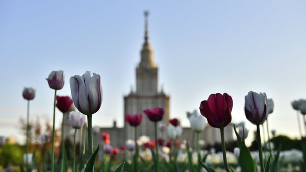 Здание МГУ и Воробьевы горы