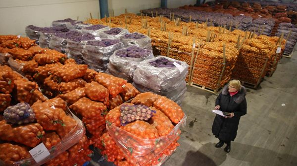 Работа ООО Овощи Калининграда