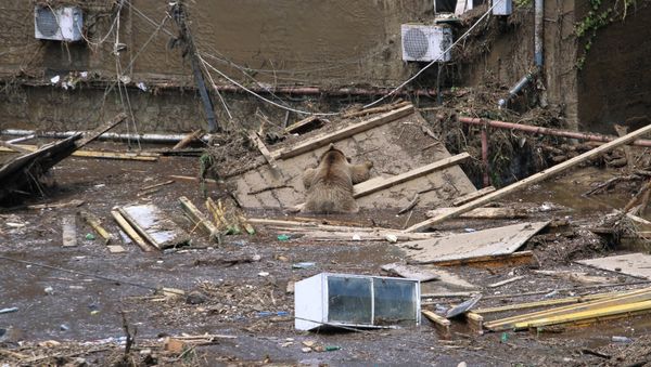 Последствия наводнения в Тбилиси