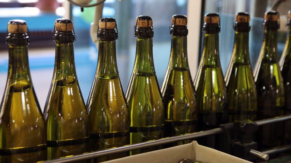 Производство вина