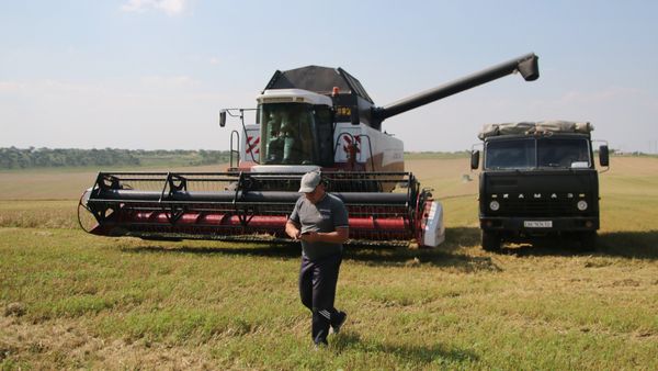 Уборка зерновых на Юге России