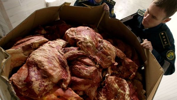 Работа таможенного поста Багратионовский в Калининградской области