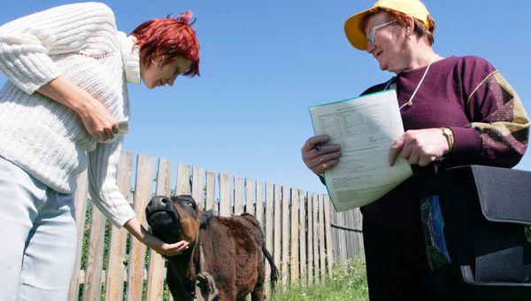 Всероссийская сельскохозяйственная перепись