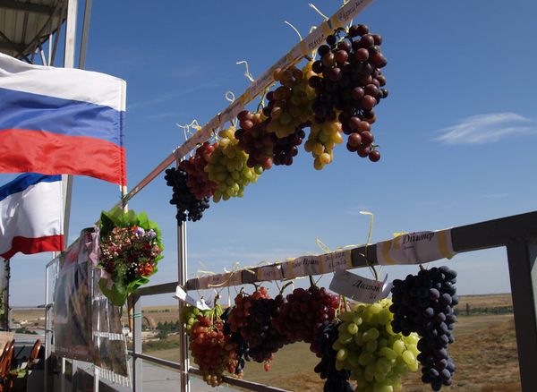 Республиканский фестиваль Золотая гроздь винограда