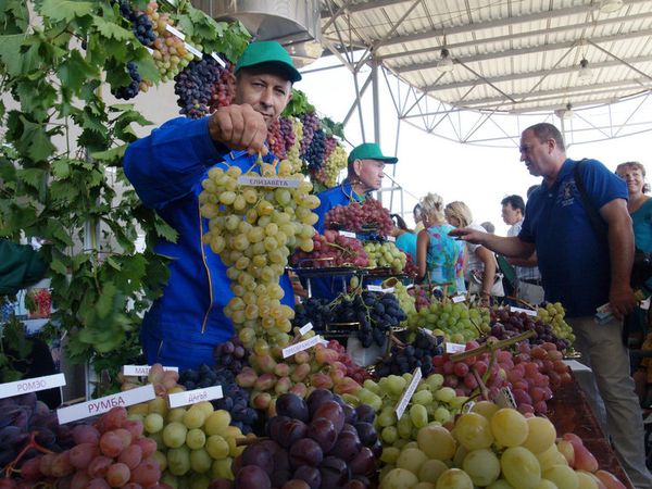 Республиканский фестиваль Золотая гроздь винограда