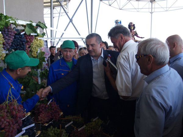 Республиканский фестиваль Золотая гроздь винограда.