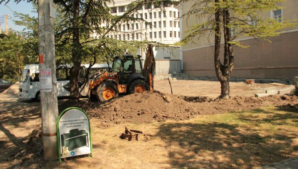 В Симферополе принято решение спилить несколько деревьев около администрации города, поскольку там необходимо расширить проезжую часть и создать парковку