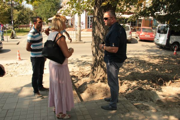 В Симферополе хотят спилить несколько деревьев около здания администрации
