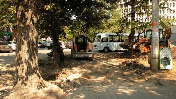 Власти Симферополя приняли решение спилить несколько деревьев около здания администрации города, мотивируя это тем, что в этом месте необходимо расширить проезжую часть и создать парковку.