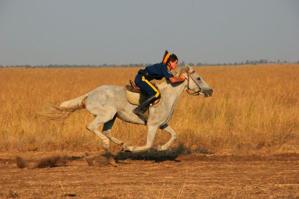 Крымские тулумбасы -2015