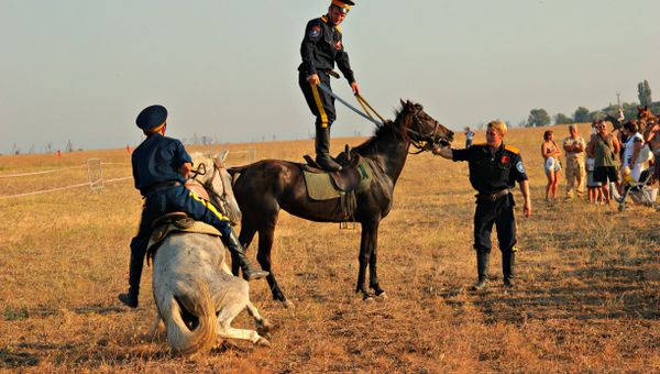 Крымские тулумбасы -2015