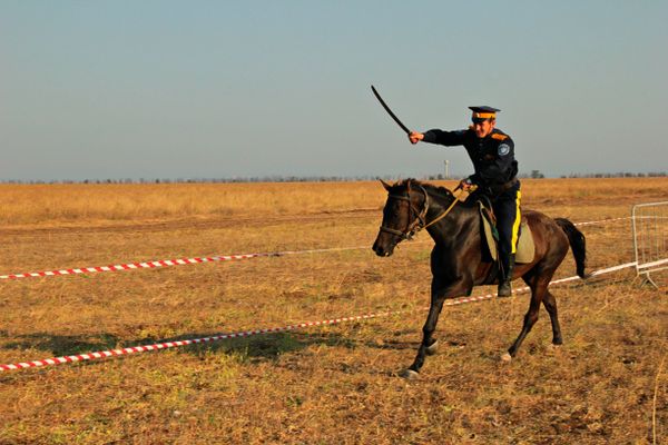 Крымские тулумбасы -2015