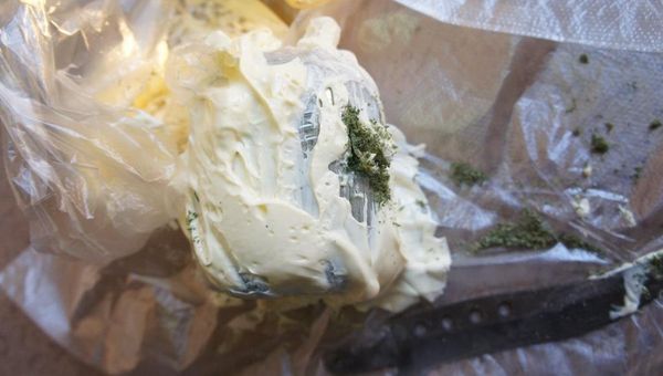 Пограничники задержали украинца, который пытался провезти в Крым марихуану под майонезом