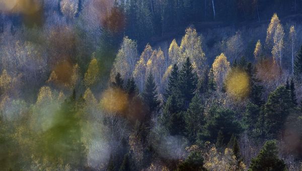 Осень