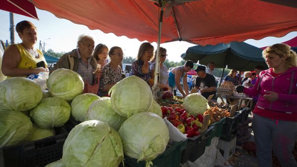 Осенняя сельскохозяйственная ярмарка в Симферополе