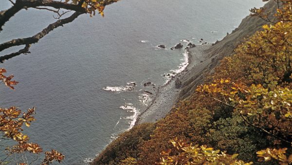 Баргузинский заповедник