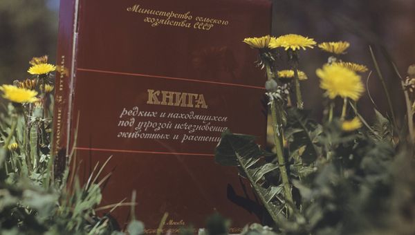 Красная книга