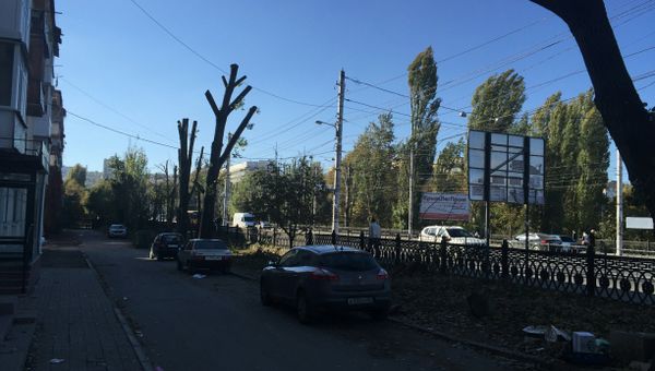 Спиленные тополя на ул. Киевской в Симферополе Спиленные тополя на ул. Киевской в Симферополе