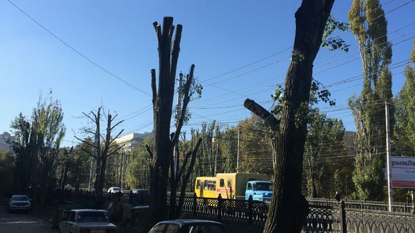 Спиленные тополя на ул. Киевской в Симферополе