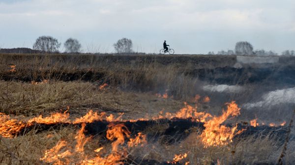 Горение сухой травы