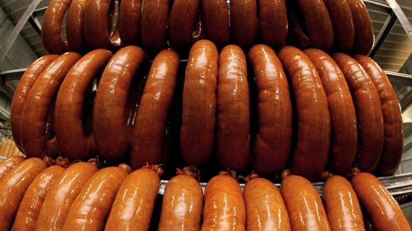 Производство мясной продукции в Приморском крае